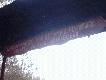 Strzelnica
Zdj�cia ze strzelnicy w Gutkowie k.Olsztyna.Odby�o si� obowi�zkowe przestrzelanie broni k�."�ubr" Olsztyn. By�o g�o�no!Mia�em nawet okazje pierwszy raz strzeli� ze sztucera , osza�amiajace wra�enia :-)
