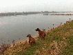 Wyk�pa� si� czy nie wyk�pa� si�....