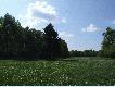 polanka ci�g dalszy