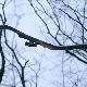 w g�owie mi si� zakr�ci�o -a ten nap.....
a� wi�ry lecia�y ...
