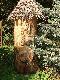 A to, do pary, r�wnie� ul z okolic Lw�wka �l�skiego, pod Muzeum Przyrodniczym w Cieplicach