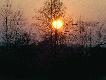 Zach�d s�o�ca nad Tarnobrzegiem.