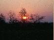 Zach�d s�o�ca nad Tarnobrzegiem.