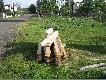 Budowa ambony
My�liwi wybudowali wiele tego typu urz�dze� stosuj�c r�ne techniki ich stawiania. Tym mini fotoreporta�em spr�buj� pokaza� jak to robi m�j wykonawca (rodowity g�ral), kt�remu pomaga�o dw�ch syn�w. Mam nadziej� �e b�dzie to pomocne tym, kt�rzy nie maj� w budowaniu ambon zbyt wiele do�wiadcze�. Co sezon stawiam min. jedn� tak� ambon� w swoim kole. Trwa�o�� tej budowli to min. 10 lat. Stosuj�c �rodki konserwuj�ce mo�na ten czas wyd�u�y�.