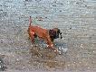 Sprawdzam czy woda nadaje si� do k�pieli