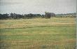Wiosna
�eruj�ca locha z warchlakami 
