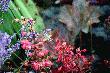 
....trudno go by�o uchwyci�....