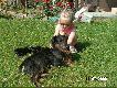 Jagi i gocze
Urodzone 01 lipca 2009