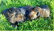 13.07.2009. Zaczynamy otwiera� oczka...