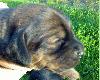 13.07.2009. Zaczynamy otwiera� oczka...