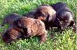 13.07.2009. Zaczynamy otwiera� oczka...