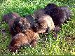 13.07.2009. Zaczynamy otwiera� oczka...