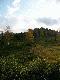 Wci�� czekamy . Foto B. Pe�diak