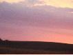 VIII wypad do lasu wysz�a locha z warchlakami lecz by�o za ciemo na oddanie strza�u