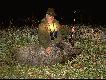 Odyniec strzelony przez mojego Ojca podczas nocnej zasiadki na ksi�ycu...