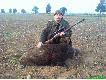 Przelatek 50kg pozyskany w m.Kalbornia.Amunicja z pociskiem Sierra 11,7g kal.308W mojej elaboracji 17-09-2009