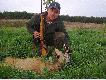 Dzie� po urodzinach �wi�ty Hubert darzy szydlarzem. Strzelony 17.09.2009. Przed ostatni w kole