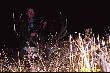 �wi�ty Hubert w trakcie rykowiska obda�y� mnie pi�knym trofeum.