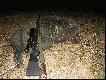 23.09.2009.Godzina 22 00 wracam z pracy.Sztucer w r�k� i w pole. By�o ich sze�� .Jeden zosta�