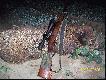 Strzelony z 308W   (160m)......Waga 72 kg.....