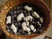 tak wygl�da�o 10 ma�ych fusk�w :)))
19-10-2007