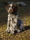 a� zosta� tylko jeden :)))
02-04-2008