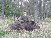 Odyniec 94 kg strzelony o godz 4:50