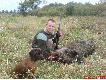 10.10.2009r - polowanie zbiorowe, przedostatni miot. Naganka przesuwa si� trawami z prawej na lewo. Gdy jest 100m od ma�ej k�py ��z wychodzi z niej ten oto "jegomo��". Defiluje ok. 50 m przede mn�, wcale si� mu nie spieszy. Po strzale idzie jeszcze 50m do nast�pnych ��z, po czym s�ysz� odg�os �amanych ga��zi. Po miocie sprawdzenie zestrza�u, jest farba, puszczenie Weny na "zwiad" - le�y!!!
Waga ody�ca 106 kg.
Or�: szable d�ugo�ci 23 cm, 24,5 mm szeroko�ci, obw�d fajek 75 mm.