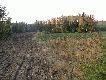Pod t� k�p� strzeli�em dzika.