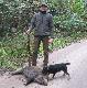 24.X.09 polowanie zbiorowe w �ow. Grzybowo kol.Daniel przy strzelonym warchlaku w drugim miocie