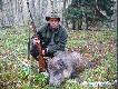 dzik podni�s� mi si� na ok. 60 m na lesie, z�o�y�em si� i odpali�em - pad� w ogniu