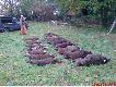 2 Dzie� polowania dla Du�czyk�w (pierwsza dewiz�wka)