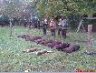 3 Dzie� polowania dla Du�czyk�w (pierwsza dewiz�wka)