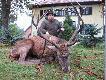 M�j najlepszy :) oby tylko zielony bo jako� tak na granicy II i III klasy. W tle siedziba K� B�r Wipsowo