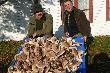 Tego poranka troch� ka� "pad�o":-)