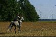I co, pani Don Kichot? Z wiatrakami walczy� si� zachcia�o! Niepoprawna marzycielka.