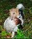 Mam sze�� miesi�cy, ledwie unosz� ale nosz� :-) 