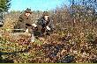 Ledwo wr�ci�em, ze zbior�wki, a ju� z Koleg� Krzy�kiem pojechali�my do Puszczy Knyszy�skiej. Ranek przywita� nas brystr� pogod� i mro�nym powietrzem. Oto efekt rannego wy�cia. Koza i ciele jelenia strzelone przez Krzy�ka. Cielak dostarczy� nam niezaponianych emocji. Po strzale na dukcie zaznaczy� i poszed� w las. Po�o�y� si� po 30 m, jednak podniesiony uszed� znikaj�c z pola widzenia. Poczekali�my dobr� godzin� i ruszyli�my za postrza�kiem. Farba ciemna na dwie strony co pare metr�w. Idealna szko�a dla psa, jednak  posokowiec Krzy�ka ma dopiero 1, 5 miesi�ca i nie widzia� nawet jeszcze swojego pana. Po przejsciu oko�o 700 m po farbie szukamy zasi�gu, aby zadzwoni� po tropowca. Jednak moj� zawzi�to�� i przypadek losu daj� nadziej�. Mianowicie us�yszeli�my psa stanowi�cego niedaleko nas. Ja biegiem dosta�em si� na rozlewiska bobrowe w okolicy wioski, gdzie s�ysza�em psa. Przywita� mnie wiejski burek, kt�ry wyra�nie chcia� co� pokaza�. I pokaza�. Na �rodku rozlewiska w dosy� g��bokiej wodzie stal nasz cielak. Strza� w leb zako�czy� jego cierpienie. Wyj�cie go z bobrowiska by�o dosy� ci�kie ale uda�o si� na sucho ;) Strza� na nisk� komor� z przodu 10 cm nad mostkiem nie uszkodzi� �adnych narz�d�w �yciowych. 

Po takim polowaniu nasuwa si� jeden wniosek. W takim obwodzie potrzebny jest dobry posokowiec. Na szcz�cie Krzysiek o tym dobrze wie i ju� od wiosny rozpocznie uk�adnie w�a�nie  takiego psa.  

Dzi�ki za wsp�lne polowanie
