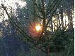 Wsch�d s�o�ca nad m�odnikiem