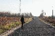 w tym miocie lisy zrobi�y nas w konia!