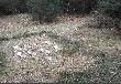 Pokot. Lis i 9 zaj�cy. to by�o jedyne polowanie gdzie strzelali�my zaj�ce. Przy okazji mo�na by�o zobaczy� na ok. 90 ha pola 17 zaj�cy (4 strzelono).