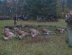 Pokot drugiego dnia by� lepszy: 5 �a�, 2 cielaki, 12 dzik�w i 3 lisy.