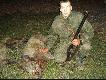 Dzik pozyskany na polowaniu zbiorowym w K� "Ostoja" Jelenia G�ra w obw 211 Nowy Ko�ci�.22.11.2009 8-smy dzik tego sezonu a 26 w karierze