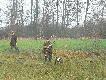 Caru� "przelata" dawa� z siebie wszystko w pi�knym stylu.
