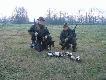 Kuzyn drugi rok z rz�du stawa� na g�owie �ebym zdoby� swojego ba�anta.