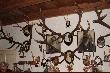  Niewielka wie� w regionie Tokaj. Salon my�liwski P. Nagy. Ilo�� i jako�� trofe�w mo�e przyprawi� o zawr�t g�owy. Gospodarz ma 88 lat i jest emerytowanym le�nikiem. Karier� zaczyna� w dawnych dobrach kr�lewskich, p�niej pracowa� "na pa�stwowej posadzie". Polowa� zacz�� w latach 30-tych ub. wieku i z tamtego okresu pochodz� wszystkie trofea. Najci�sze byki (niestety nigdy nie wyceniane) wa�� 12-13 kg i s� .... stare. Jak wida� czaszki s� obci�te, ale bardzo niskie i grube mo�d�enie wskazuj� ze najstarsze byki mog�y mie� po 14-15 lat. I mo�e to jest recepta na rekordowe trofea. Da� si� kapitalnym bykom zestarze�....