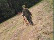 wyj�cie z samochodu wej�cie na ambon� strza� i powr�t do auta. Wszystko w 15 minut szybkie polowanie he he. Strzelony na 150m