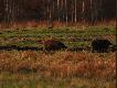 to ju� pod koniec spotkania. By�em ju� na prawd� blisko i zacz�y si� ju� orientowa� �e co� jest nie tak