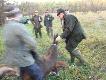Uk�adamy skromny pokot