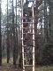 nast�pna  gotowa do zasiadki